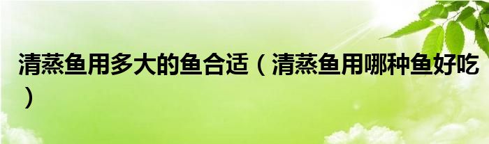 清蒸鱼用多大的鱼合适（清蒸鱼用哪种鱼好吃）