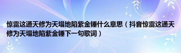 惊雷这通天修为天塌地陷紫金锤什么意思（抖音惊雷这通天修为天塌地陷紫金锤下一句歌词）