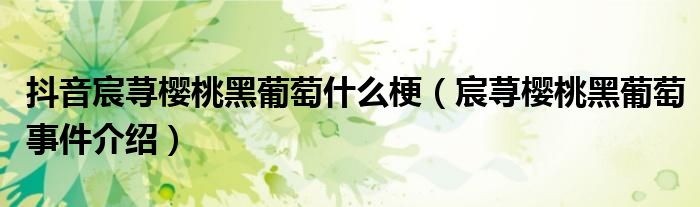 抖音宸荨樱桃黑葡萄什么梗（宸荨樱桃黑葡萄事件介绍）