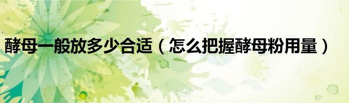酵母一般放多少合适（怎么把握酵母粉用量）