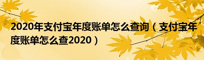 2020年支付宝年度账单怎么查询（支付宝年度账单怎么查2020）