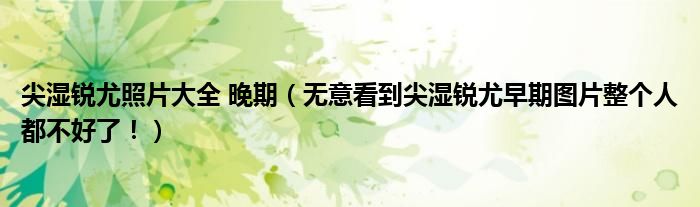 尖湿锐尤照片大全 晚期（无意看到尖湿锐尤早期图片整个人都不好了！）