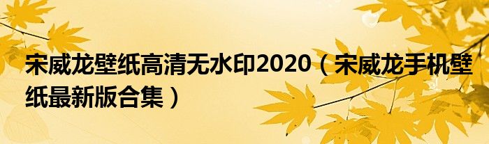 宋威龙壁纸高清无水印2020（宋威龙手机壁纸最新版合集）