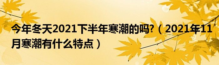今年冬天2021下半年寒潮的吗?（2021年11月寒潮有什么特点）
