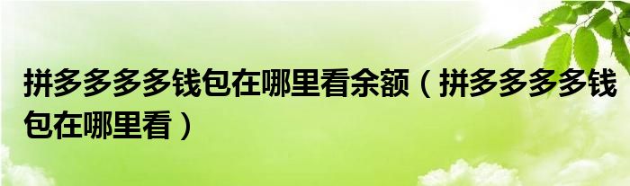 拼多多多多钱包在哪里看余额（拼多多多多钱包在哪里看）