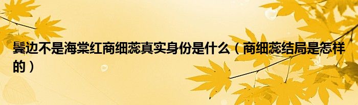 鬓边不是海棠红商细蕊真实身份是什么（商细蕊结局是怎样的）
