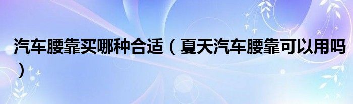 汽车腰靠买哪种合适（夏天汽车腰靠可以用吗）