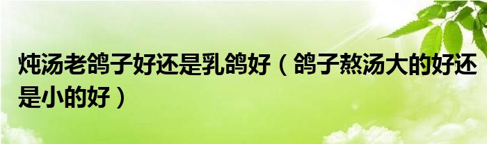 炖汤老鸽子好还是乳鸽好（鸽子熬汤大的好还是小的好）