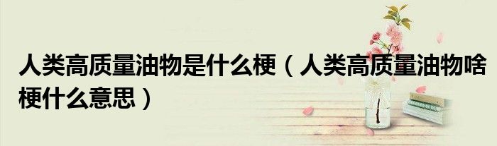 人类高质量油物是什么梗（人类高质量油物啥梗什么意思）