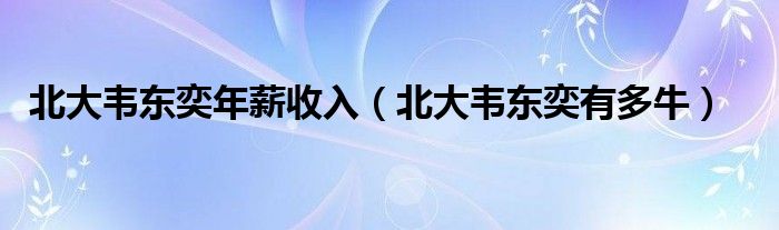 北大韦东奕年薪收入（北大韦东奕有多牛）