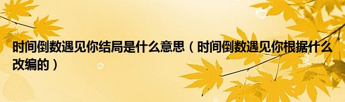 时间倒数遇见你结局是什么意思（时间倒数遇见你根据什么改编的）