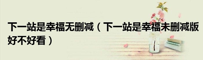 下一站是幸福无删减（下一站是幸福未删减版好不好看）