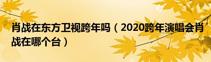 肖战在东方卫视跨年吗（2020跨年演唱会肖战在哪个台）