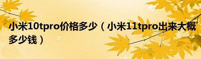 小米10tpro价格多少（小米11tpro出来大概多少钱）