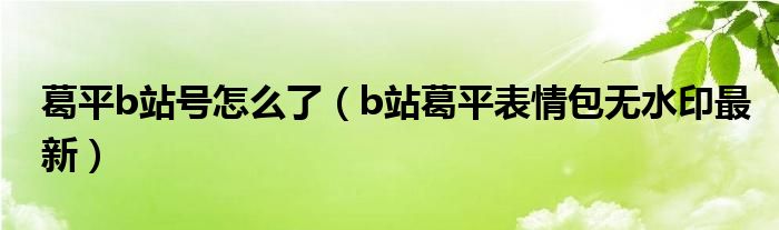 葛平b站号怎么了（b站葛平表情包无水印最新）