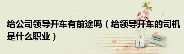 给公司领导开车有前途吗（给领导开车的司机是什么职业）
