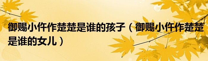 御赐小仵作楚楚是谁的孩子（御赐小仵作楚楚是谁的女儿）