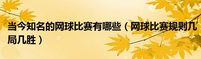 当今知名的网球比赛有哪些（网球比赛规则几局几胜）