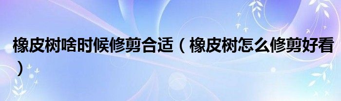 橡皮树啥时候修剪合适（橡皮树怎么修剪好看）