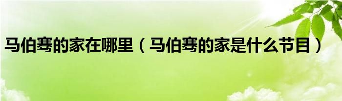 马伯骞的家在哪里（马伯骞的家是什么节目）