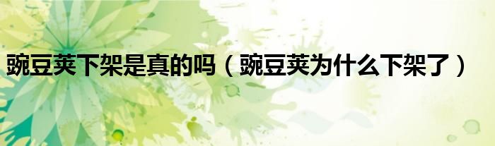 豌豆荚下架是真的吗（豌豆荚为什么下架了）