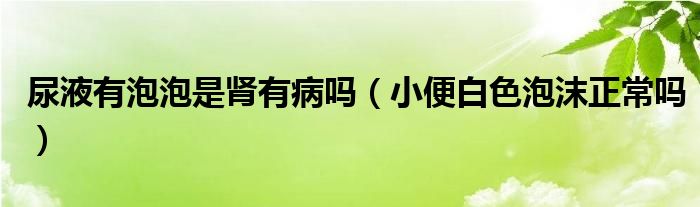 尿液有泡泡是肾有病吗（小便白色泡沫正常吗）
