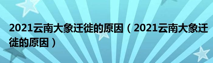 2021云南大象迁徙的原因（2021云南大象迁徙的原因）
