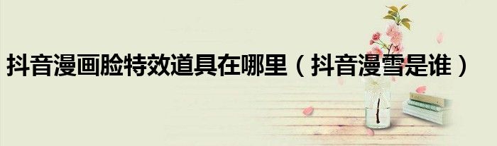 抖音漫画脸特效道具在哪里（抖音漫雪是谁）