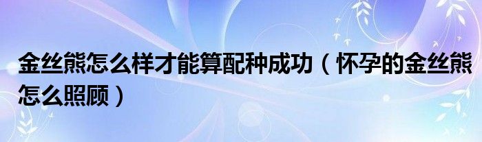 金丝熊怎么样才能算配种成功（怀孕的金丝熊怎么照顾）