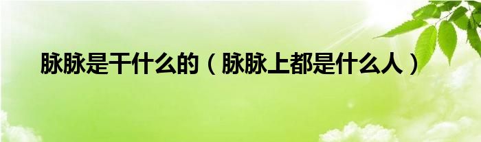 脉脉是干什么的（脉脉上都是什么人）