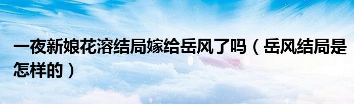 一夜新娘花溶结局嫁给岳风了吗（岳风结局是怎样的）