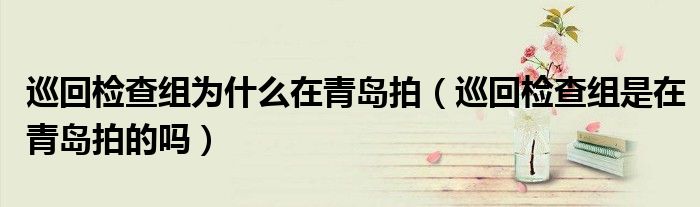 巡回检查组为什么在青岛拍（巡回检查组是在青岛拍的吗）