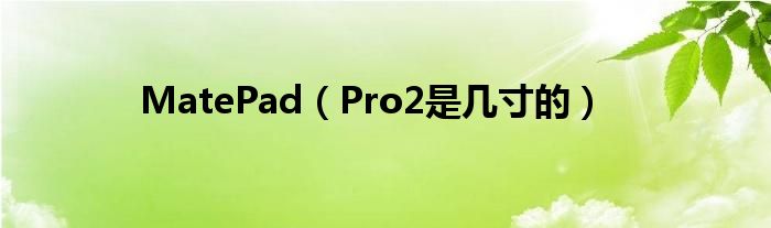 MatePad（Pro2是几寸的）