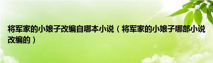 将军家的小娘子改编自哪本小说（将军家的小娘子哪部小说改编的）