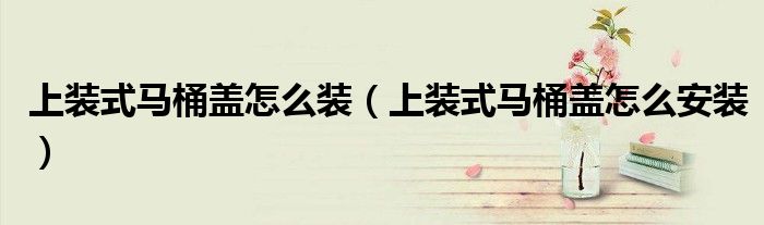 上装式马桶盖怎么装（上装式马桶盖怎么安装）