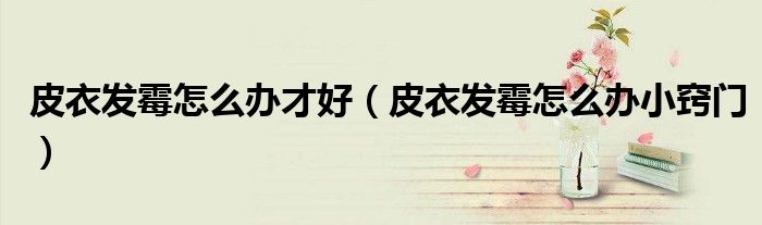 皮衣发霉怎么办才好（皮衣发霉怎么办小窍门）