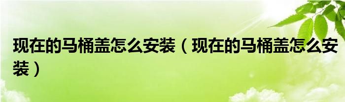 现在的马桶盖怎么安装（现在的马桶盖怎么安装）