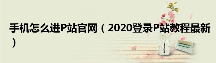 手机怎么进P站官网（2020登录P站教程最新）