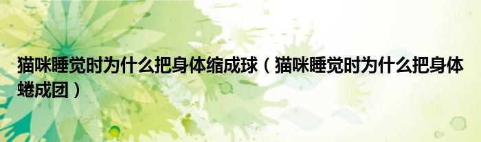 猫咪睡觉时为什么把身体缩成球（猫咪睡觉时为什么把身体蜷成团）