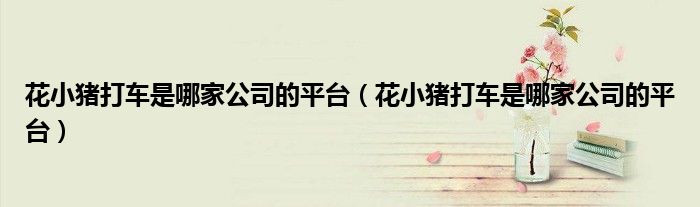 花小猪打车是哪家公司的平台（花小猪打车是哪家公司的平台）