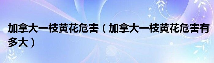 加拿大一枝黄花危害（加拿大一枝黄花危害有多大）