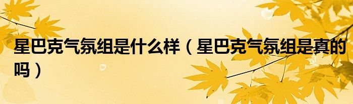 星巴克气氛组是什么样（星巴克气氛组是真的吗）