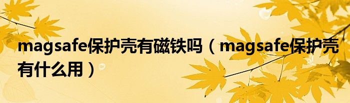 magsafe保护壳有磁铁吗（magsafe保护壳有什么用）