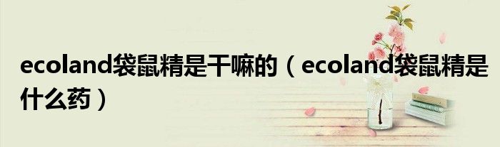 ecoland袋鼠精是干嘛的（ecoland袋鼠精是什么药）