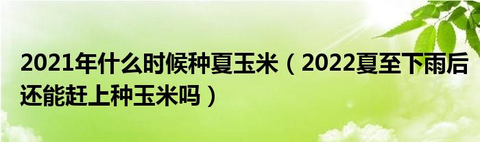 2021年什么时候种夏玉米（2022夏至下雨后还能赶上种玉米吗）