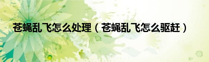 苍蝇乱飞怎么处理（苍蝇乱飞怎么驱赶）