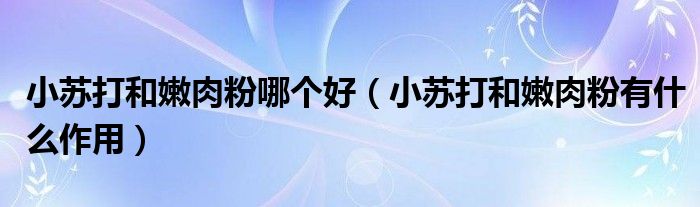 小苏打和嫩肉粉哪个好（小苏打和嫩肉粉有什么作用）