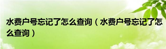 水费户号忘记了怎么查询（水费户号忘记了怎么查询）