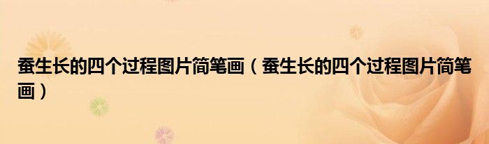 蚕生长的四个过程图片简笔画（蚕生长的四个过程图片简笔画）