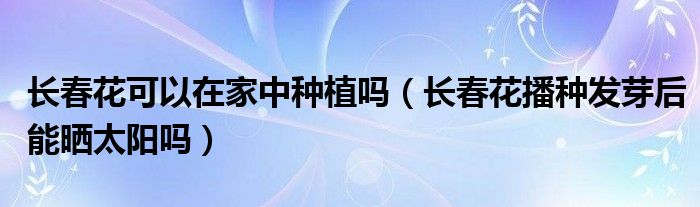 长春花可以在家中种植吗（长春花播种发芽后能晒太阳吗）